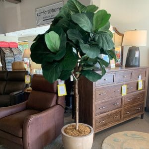 #7 foot Fiddle Leaf Fig Tree (artificial), made by DW Silks